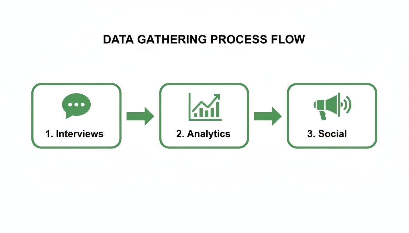 A data gathering process flow diagram illustrating three steps: interviews, analytics, and social data collection.